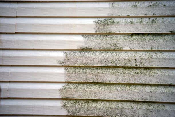 Best Shed Removal  in Cairo, GA